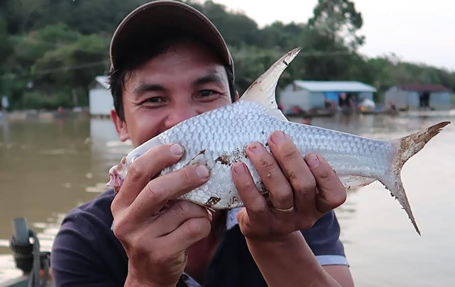 Giải mã nằm mơ bắt được nhiều cá ngụ ý điềm tốt hay xấu?