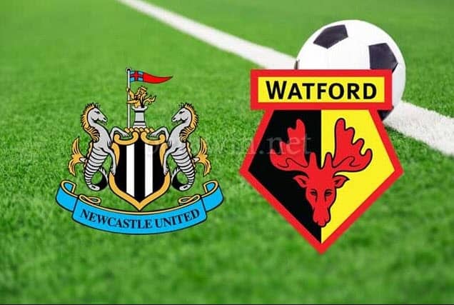 Soi kèo trận đấu Newcastle vs Watford, 22h00 15/01/2022