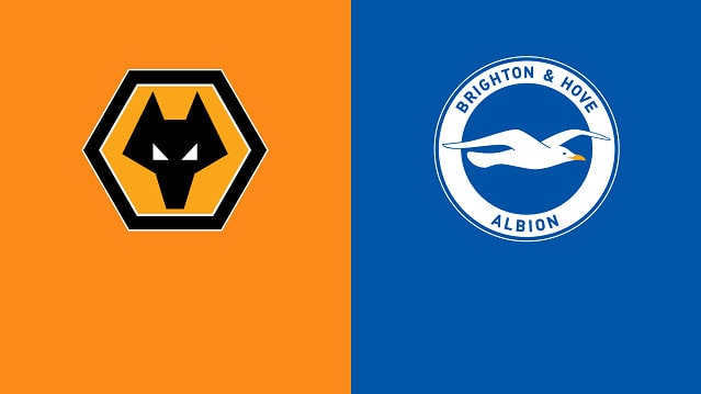 Soi kèo bóng đá W88.ws – Wolves vs Brighton, 30/04/2022